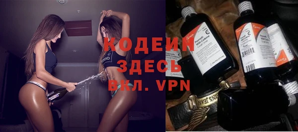 индика Верея