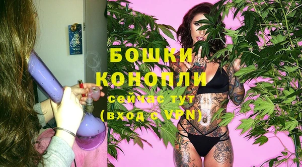 крисы Богданович