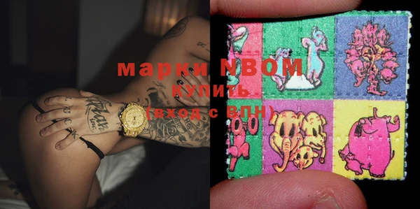 индика Верея