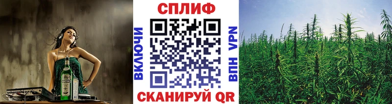 Каннабис гибрид  где продают наркотики  Вичуга 